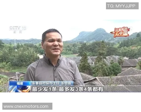 成都乒乓球队的速度之谜：探寻乒乓球背后的激情与技巧