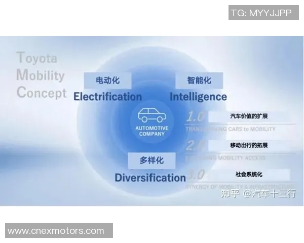 上海排球队在洲际杯中的速度表现分析与战术探讨