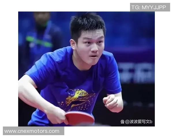 乒乓球力量榜单揭晓上海乒乓球队荣获第五名佳绩